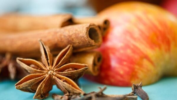 Canela com Anis: veja como preparar um aromatizante para atrair fartura