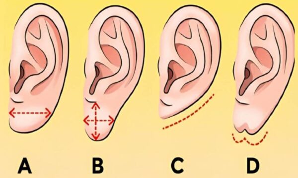 TESTE PESSOAL A forma das orelhas revelam traços ocultos da personalidade