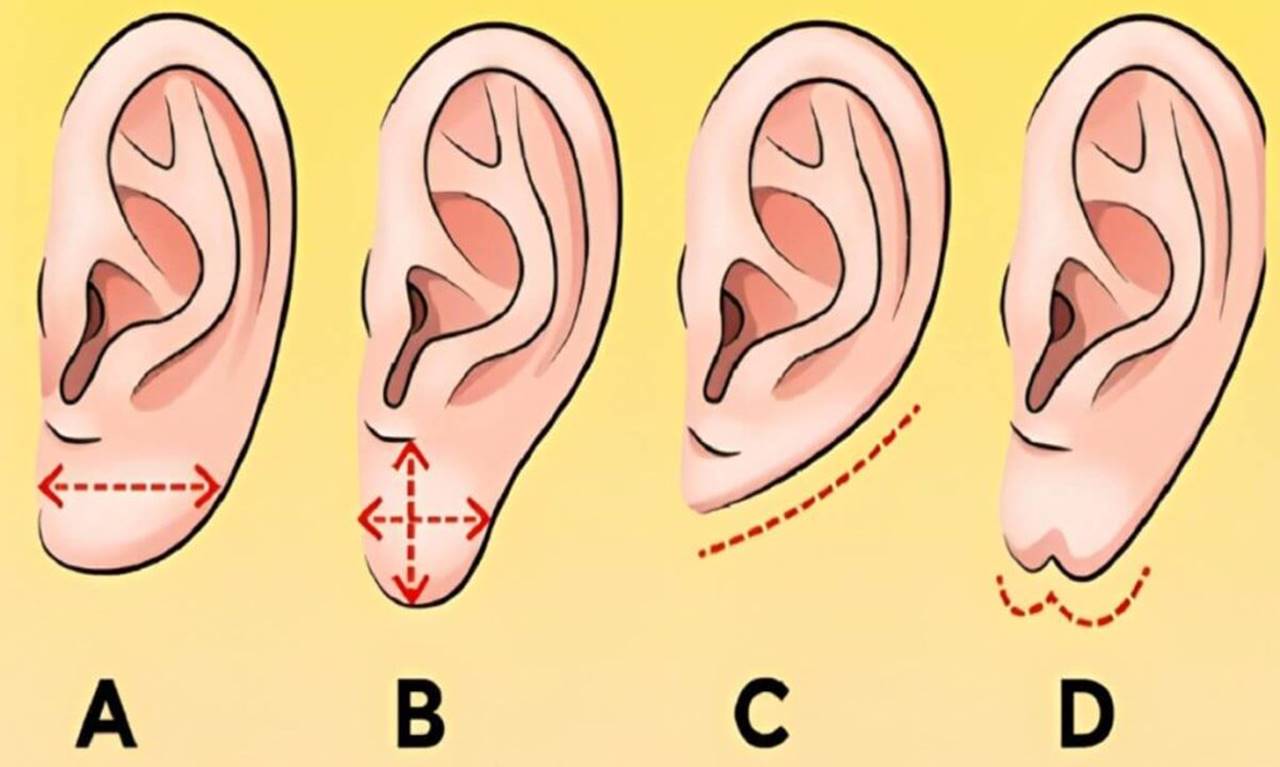 TESTE PESSOAL A forma das orelhas revelam traços ocultos da personalidade