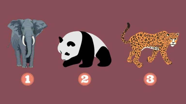 TESTE VIRAL Escolha um animal e descubra qual caminho seguir