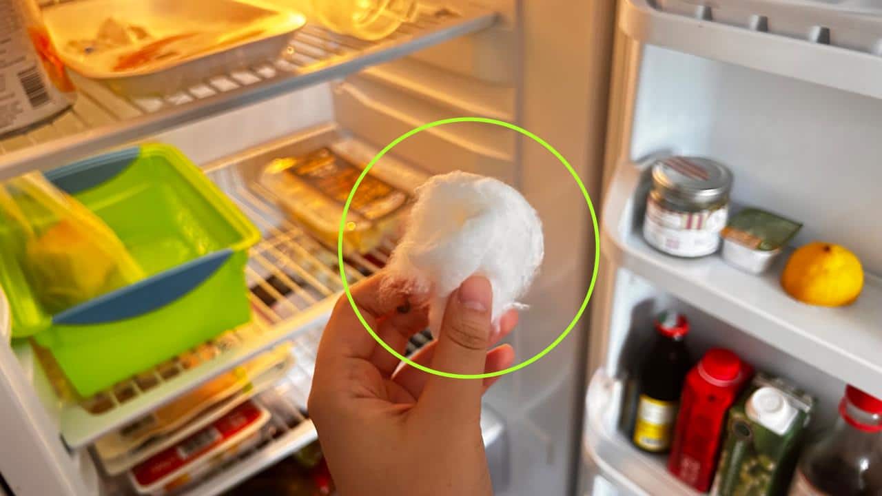É por este motivo que você deve colocar um bola de algodão na geladeira