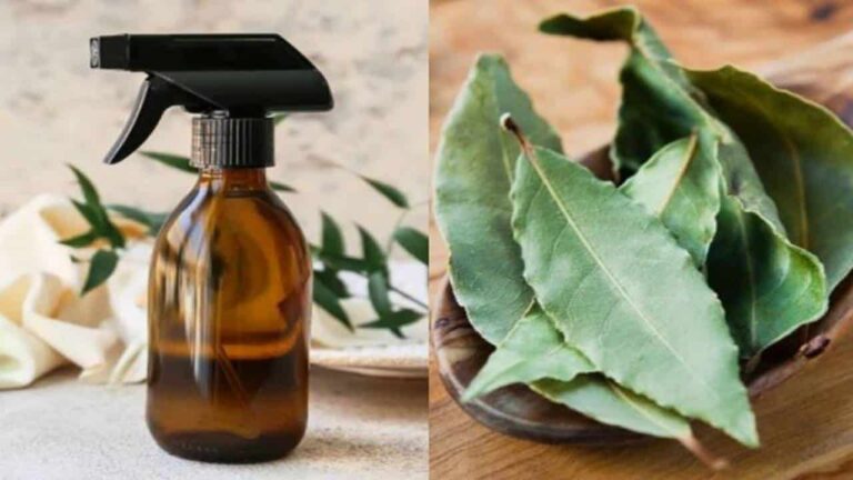 Faça esse ambientador caseiro para perfumar e atrair boa sorte para sua casa