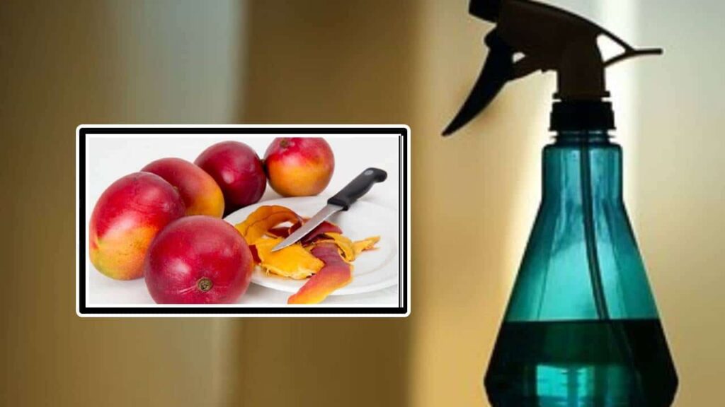 Reutilize cascas de manga para preparar um aromatizante caseiro