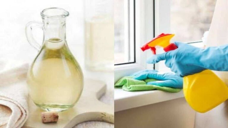 Por que você deve borrifar vinagre branco nas suas janelas 1 vez por mês?