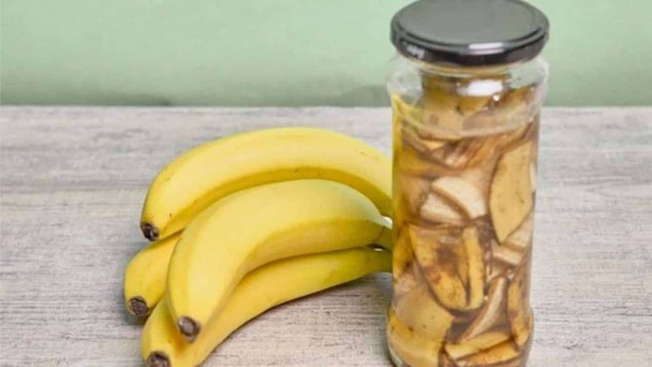 casca de banana em uma jarra