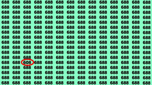 Se você tiver um olhar atento, encontre o número 608 entre 688 em 40 segundos