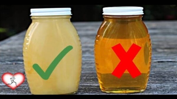 5 truques para saber se você comprou mel falso ou adulterado
