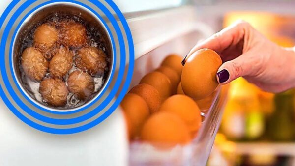Por que os ovos não devem ser cozidos logo após serem retirados da geladeira? Entenda agora!