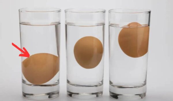 O que realmente significa para um ovo flutuar ou não na água?
