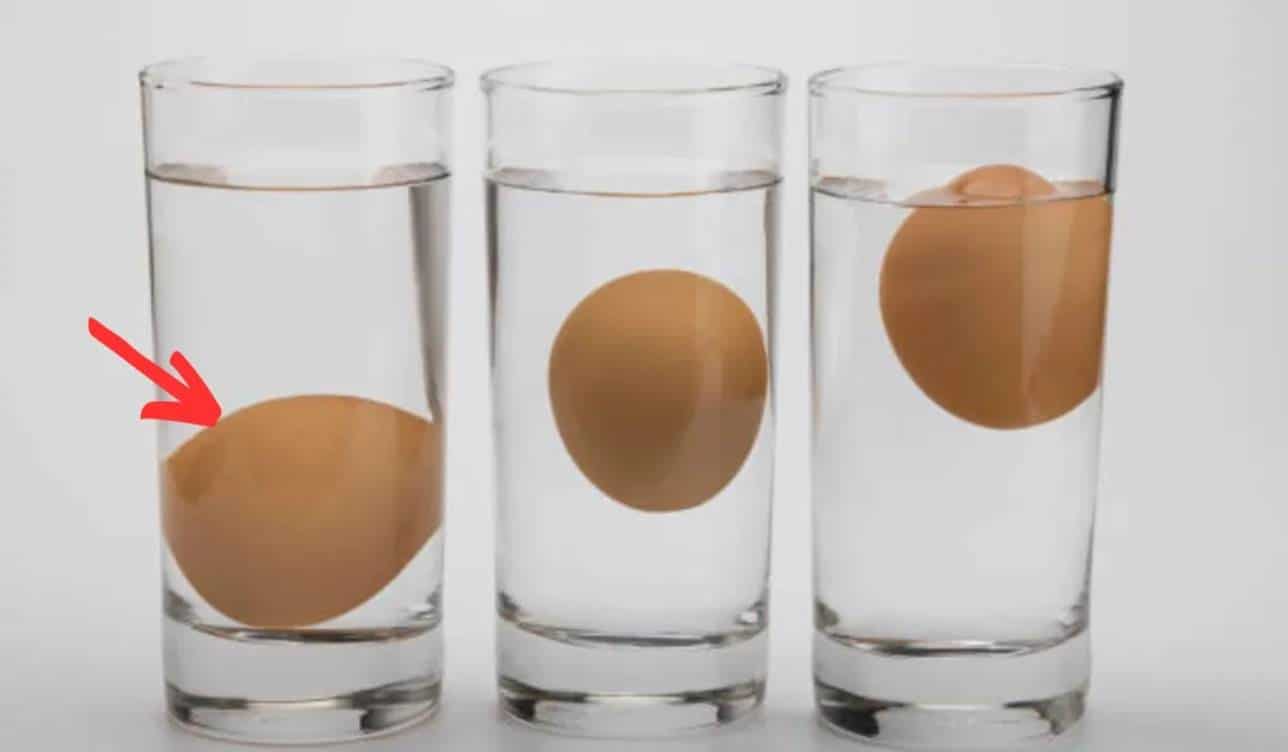O que realmente significa para um ovo flutuar ou não na água?