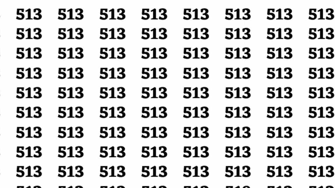 Teste sua mente: se você tem olhos de falcão, encontre o número 518 entre 513
