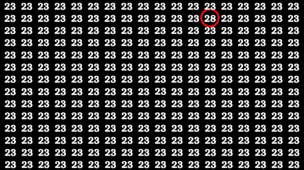 Teste: Se você tiver um olho aguçado, encontre o número 28 entre os 23