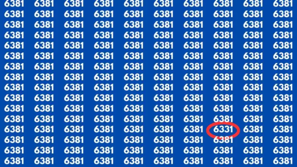 Teste de observação: Se você tem visão perfeita, encontre o número 6331 entre 6381