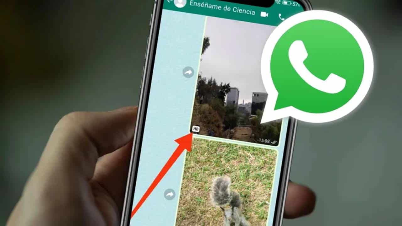 Whatsapp Agora Permite Enviar Fotos Em Qualidade Hd Como Fazer Passo A Passo 9188