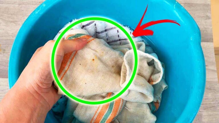 Como tirar manchas de panos de cozinha com água oxigenada?