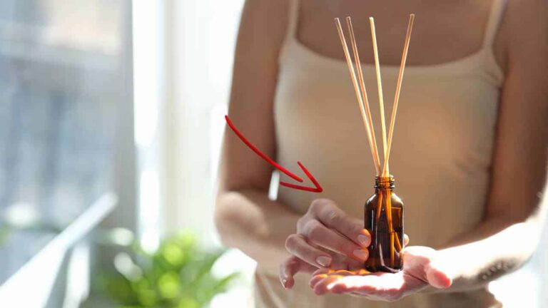 difusor caseiro para perfumar a sua casa