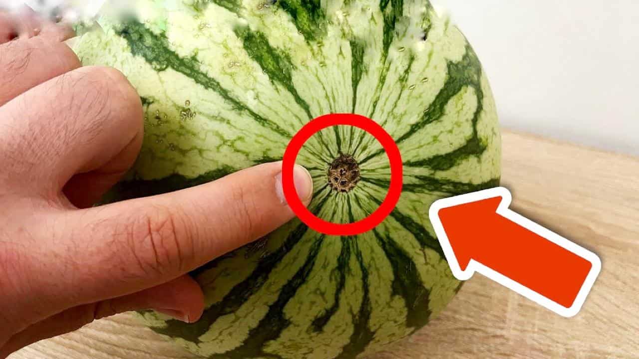 Segredo: A melhor forma de escolher uma melancia doce no supermercado