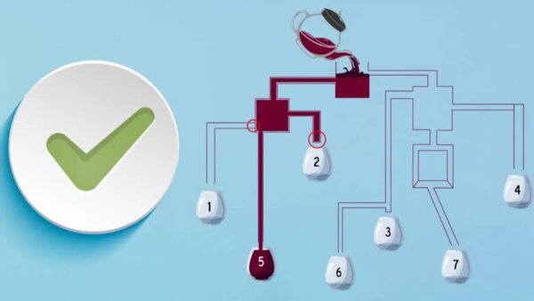 DESAFIO LÓGICO: Prove seu QI e descubra qual copo encherá primeiro!