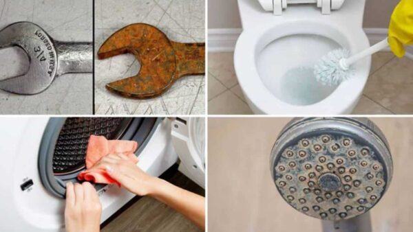 8 Formas eficazes de utilizar o ácido cítrico na manutenção doméstica
