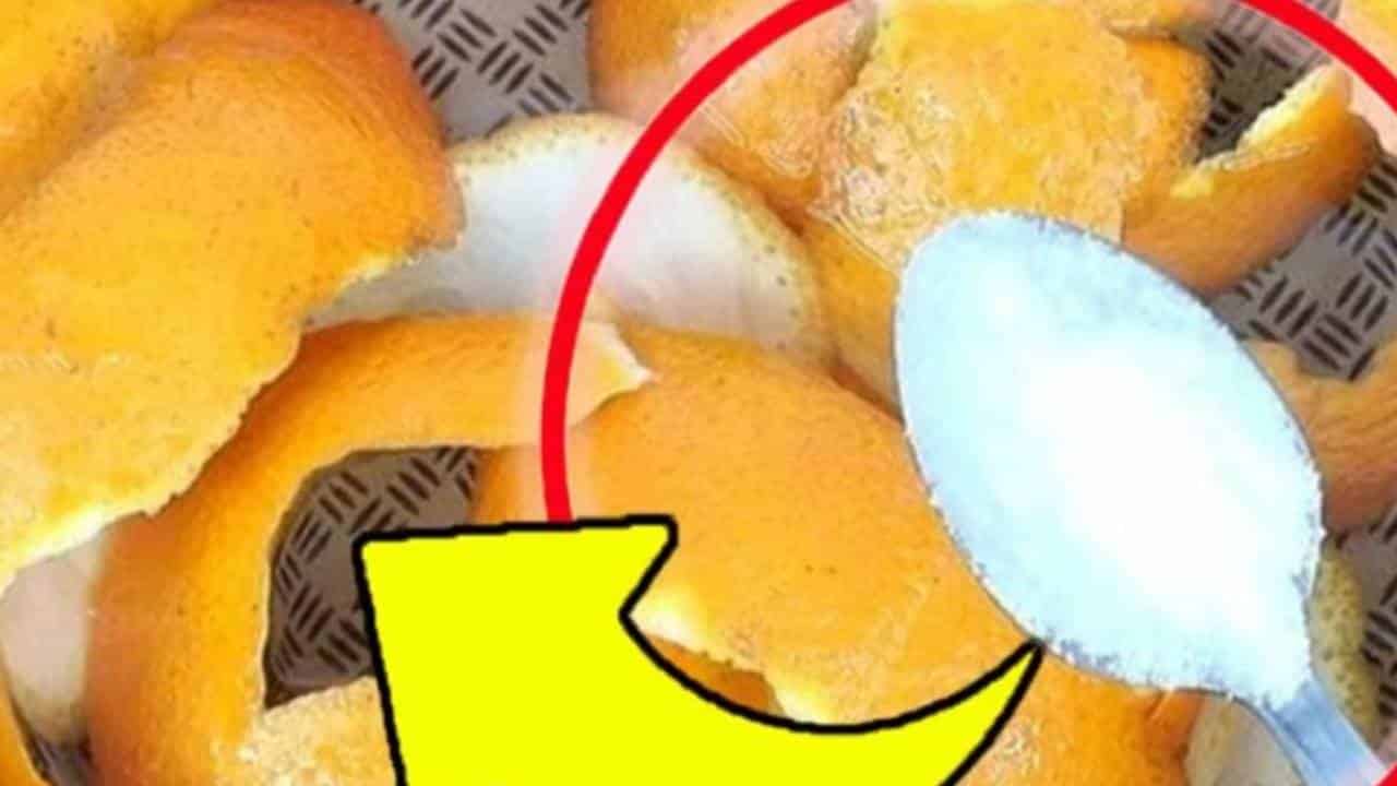 3 cascas de alimentos que você nunca deve jogar fora: não faça isso!