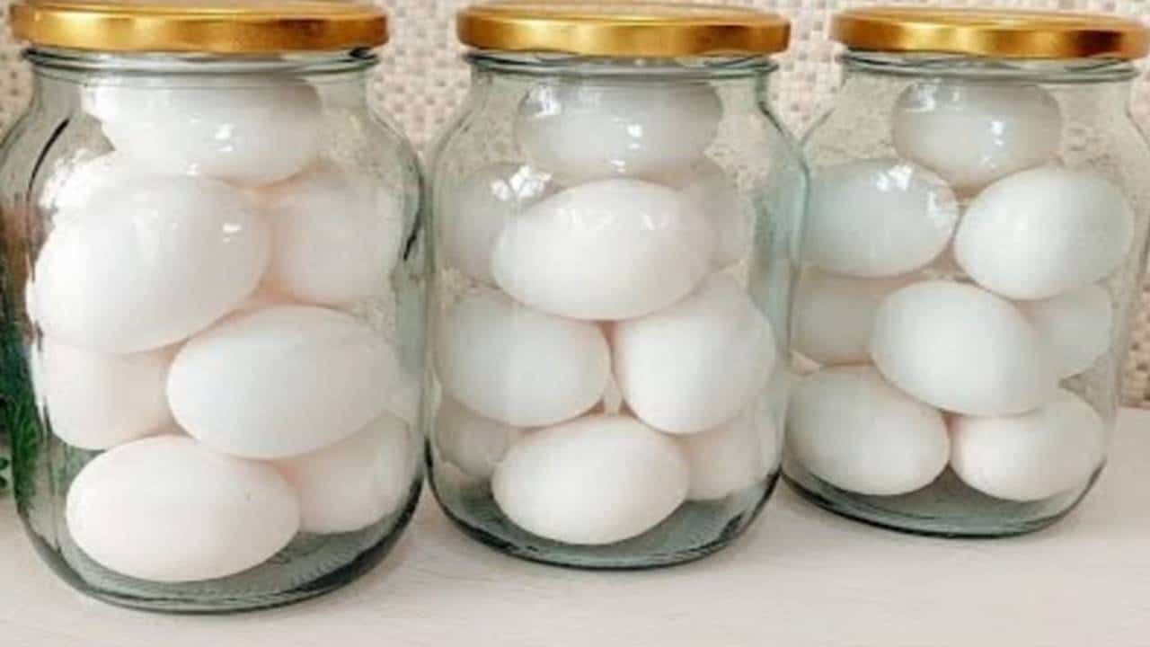 COMO conservar os ovos por MAIS TEMPO sem comprometer sua qualidade? Surpreenda-se!