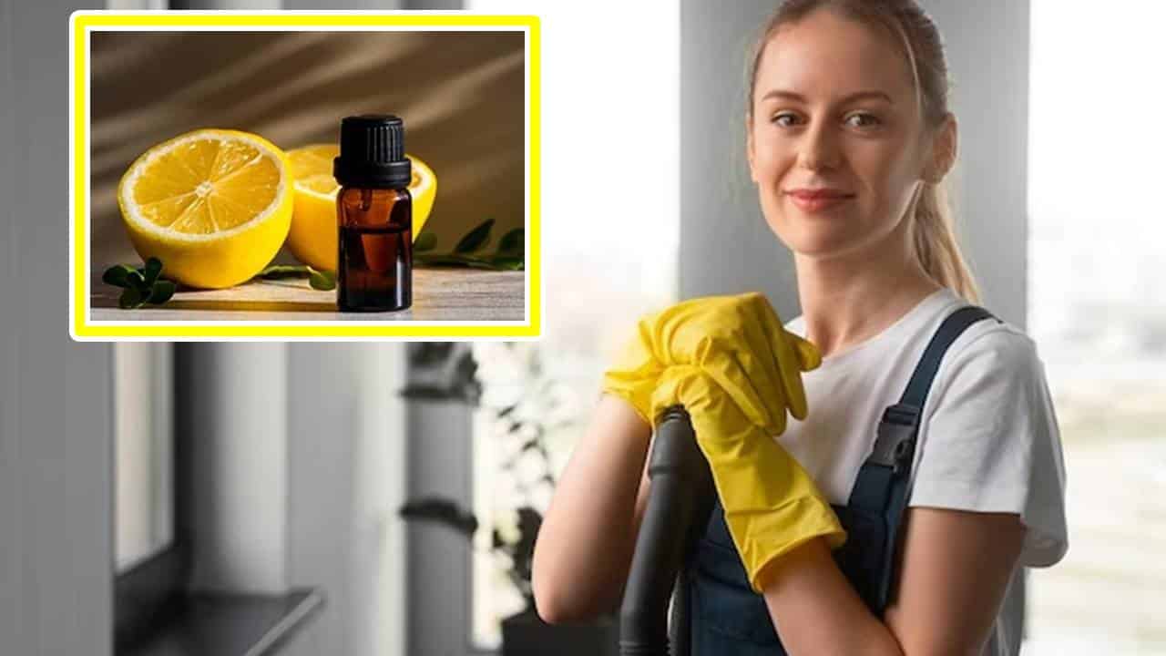 Aprenda como usar óleo essencial de limão na limpeza de sua casa