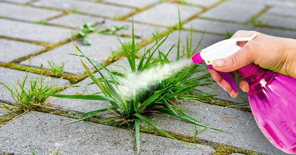 dizer adeus às ervas daninhas
