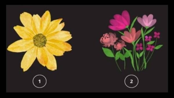 Teste de personalidade: escolha a flor que você mais gosta e descubra algo impactante sobre você