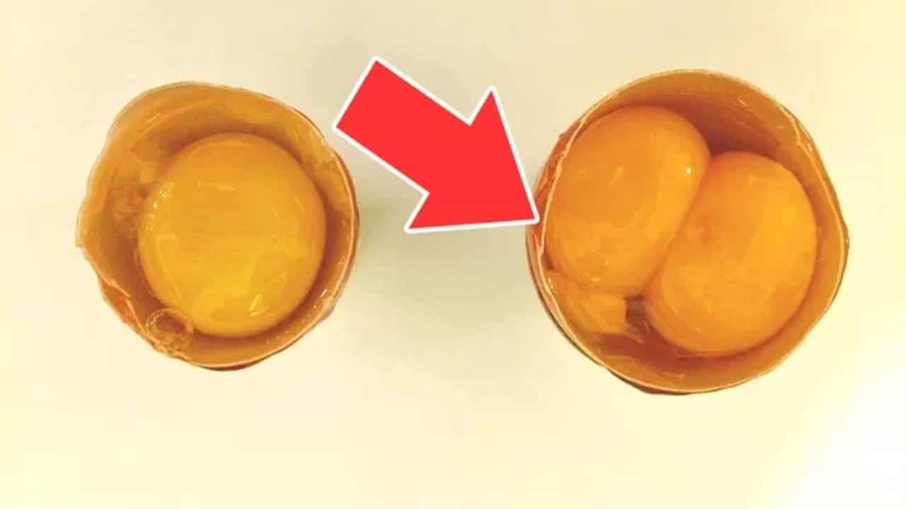 Ovos pode acontecer encontrar duas gemas