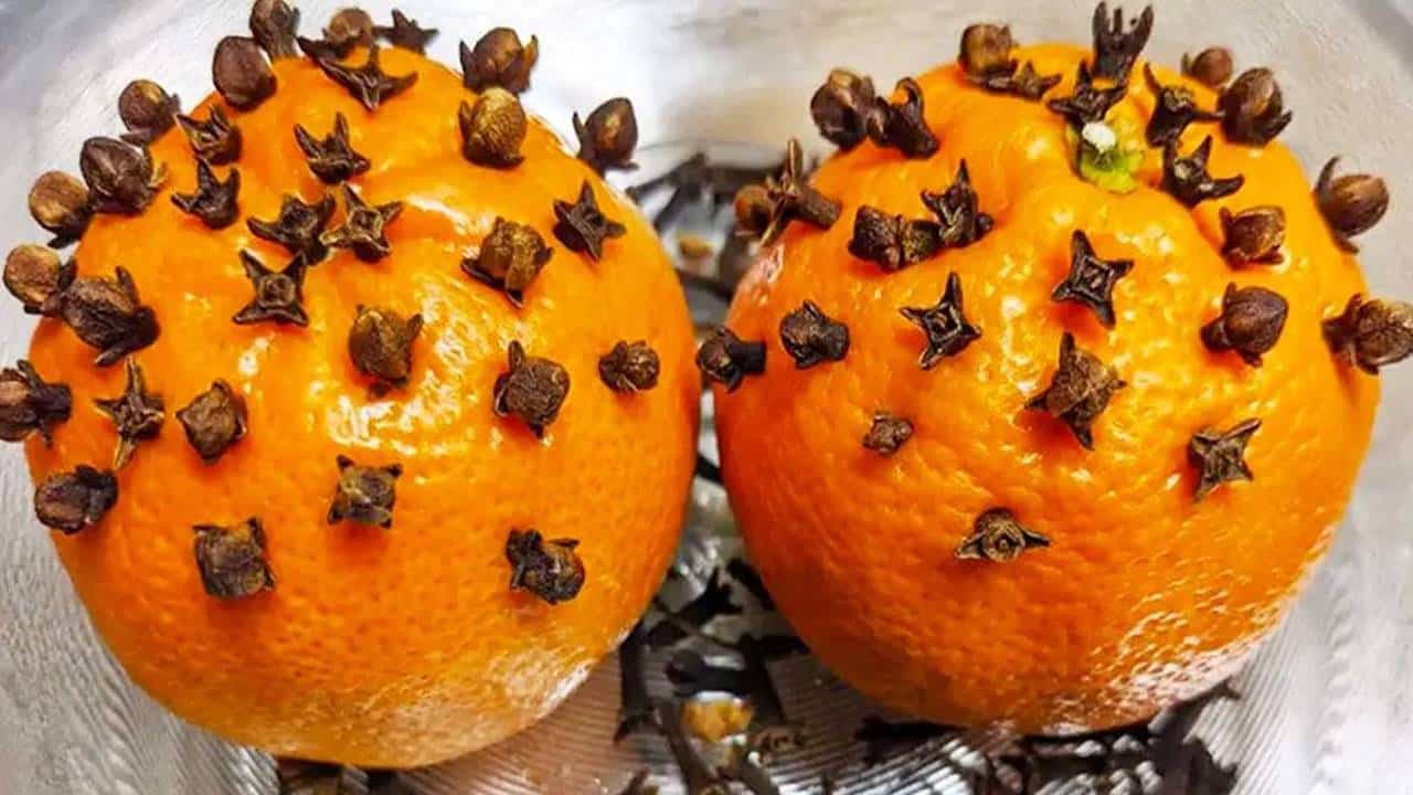 Por que você deve plantar cravo em uma laranja?