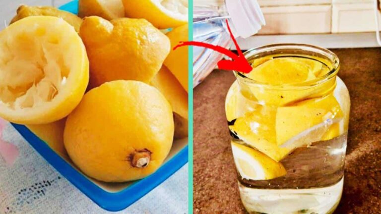 Como reutilizar limões espremidos para fazer um detergente perfumado faça você mesmo