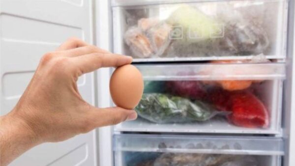 Você pode congelar ovos? A resposta não é o que você espera