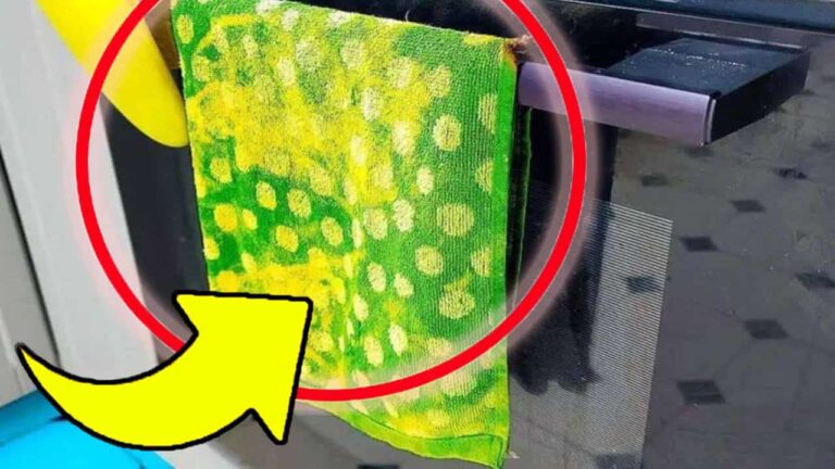 nunca mais colocar panos de pratos