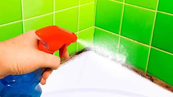 3 dicas para limpar o rejunte dos pisos, azulejos e vaso sanitário