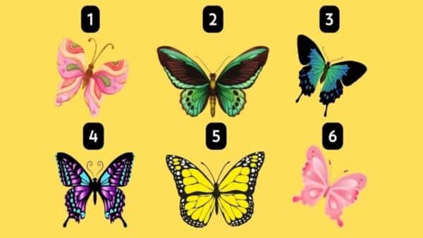Escolha uma das borboleta no Teste para descobrir como você deve agir para encontrar sucesso