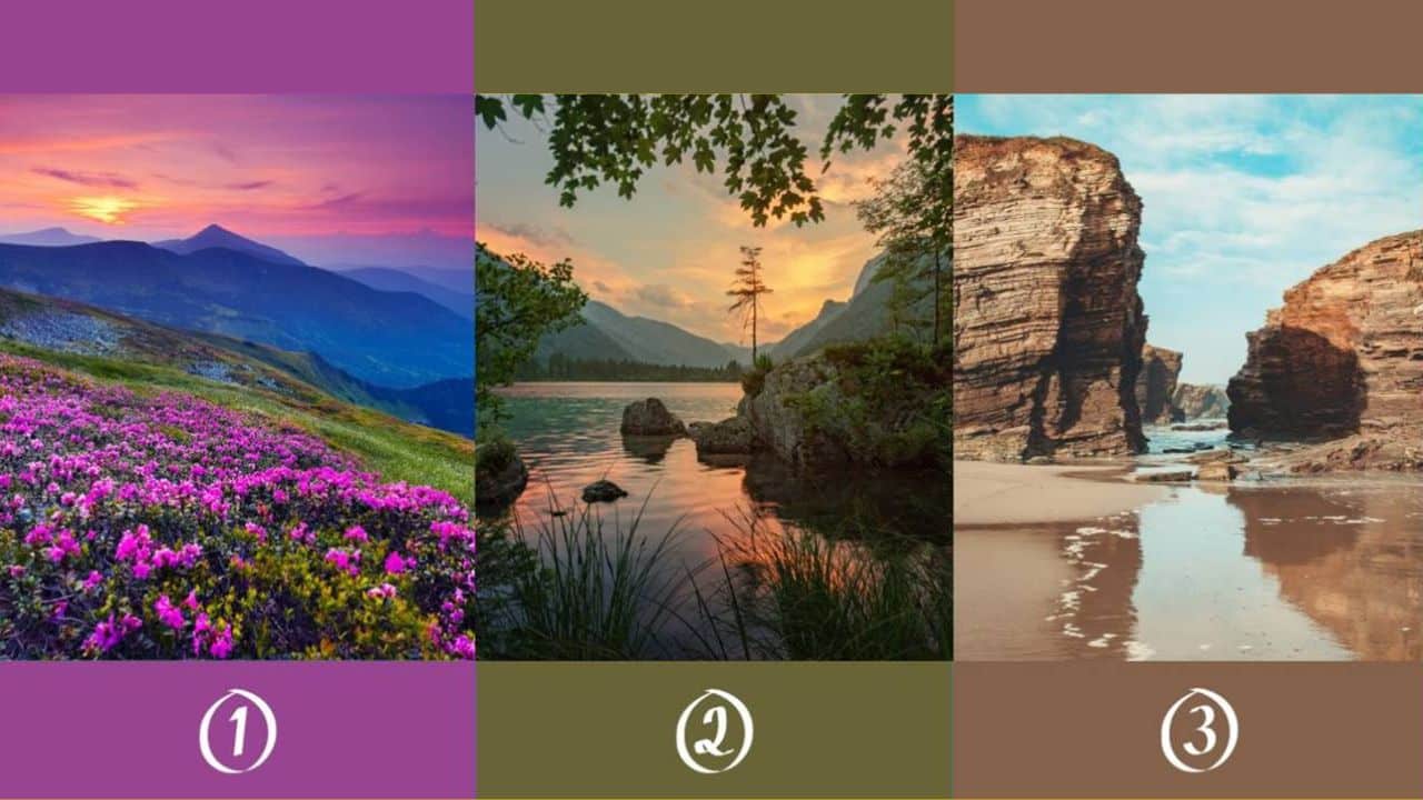 TESTE: Escolha uma vista panorâmica e descubra sua natureza oculta!