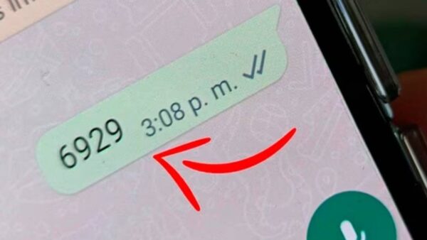 WhatsApp: o que significa o número “6929”