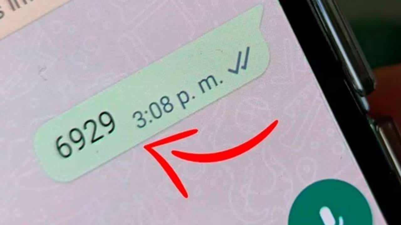 WhatsApp: O QUE significa o número “6929”