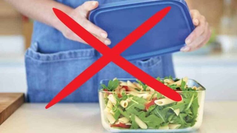 comidas em vasilhas de plástico alimentos