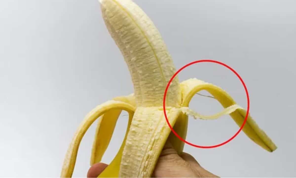 Esses fios brancos da banana