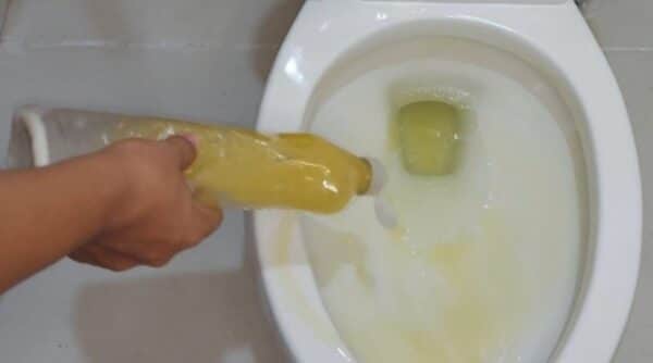 mistura remove calcário do vaso sanitário