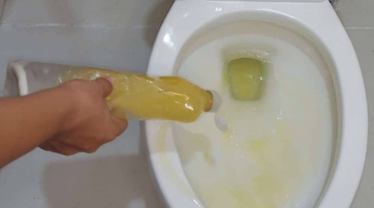 remove calcário do vaso sanitário