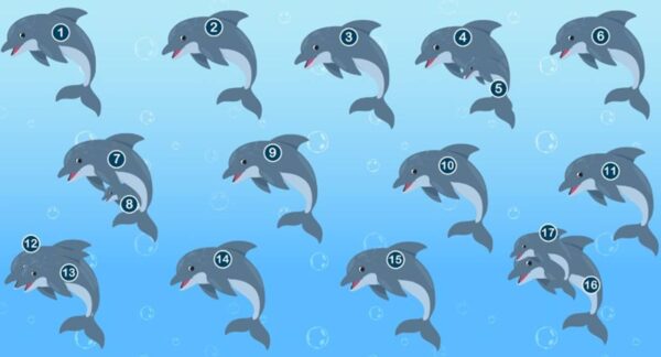 DESAFIO quantos golfinhos tem na imagem