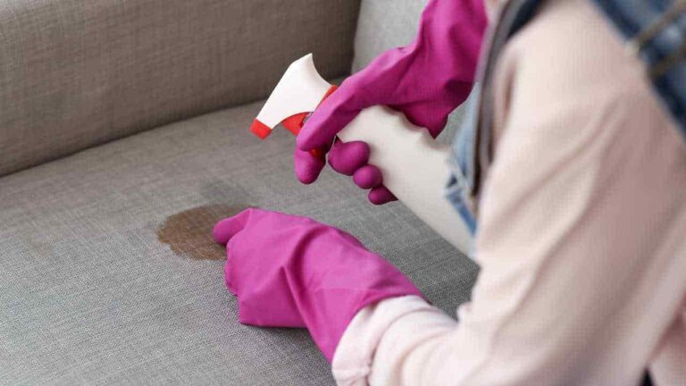 Veja como remover manchas do sofá sem usar produtos químicos
