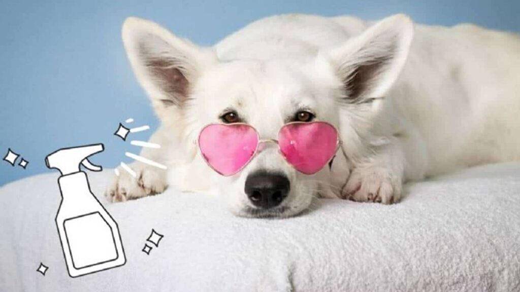fazer um aromatizante caseiro para cachorro