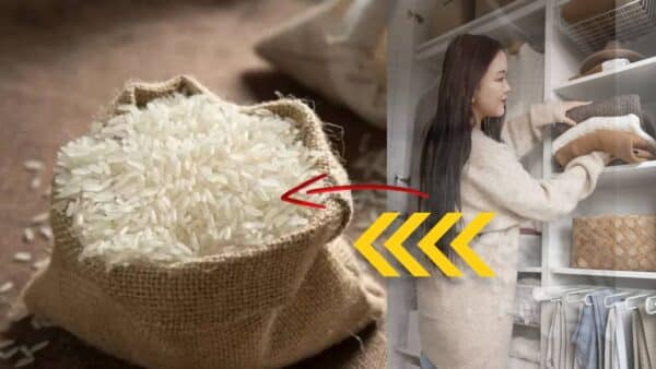 Por que você deve colocar arroz dentro do guarda roupas 1 vez por mês?