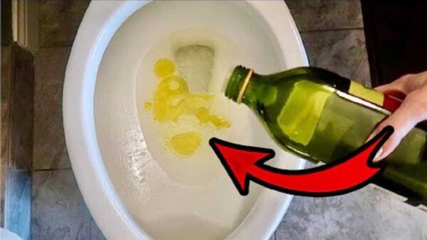 Por que jogar azeite no vaso sanitário