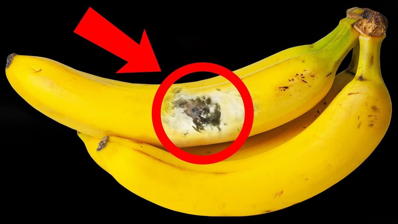 Se você ver isso na banana, jogue fora
