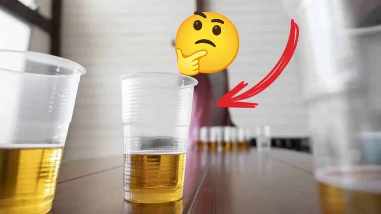 conhece cerveja sem álcool