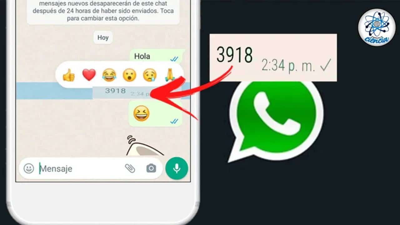 código "3918" WhatsApp: o que significa?